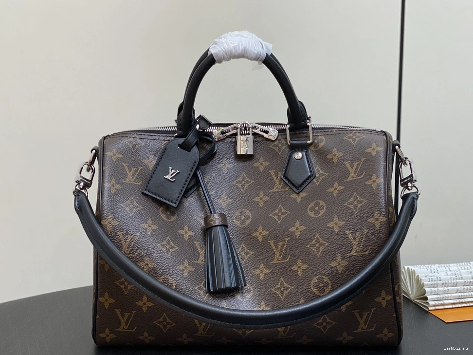 WIS Soft Speedy Vuitton Dark Louis 30 0308